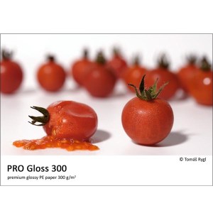 PRO Gloss 300